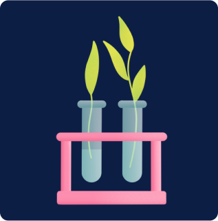 plants